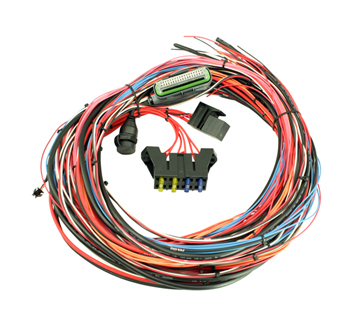 AEM EMS 4 96" Flying Lead Harness with Fuse and Relay Panel