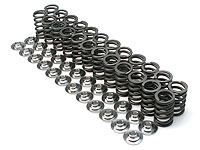 BC Valve Springs Single For Nissan TB48