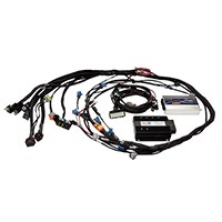 Haltech HT-141364 Elite 2500 Non DBW Terminated Harness Only-GM
