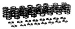 Manley 26175K Nissan RB26DETT Valve Spring Kit- Spring/Retainer